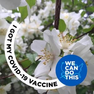 Meet your Posher, Marian